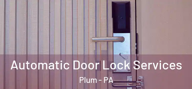  Automatic Door Lock Services Plum - PA