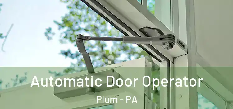  Automatic Door Operator Plum - PA