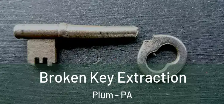  Broken Key Extraction Plum - PA