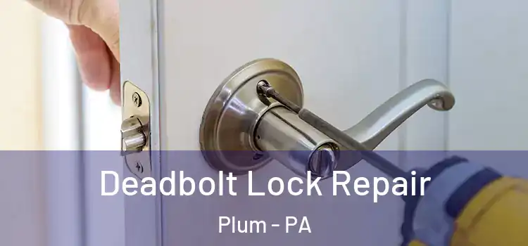  Deadbolt Lock Repair Plum - PA