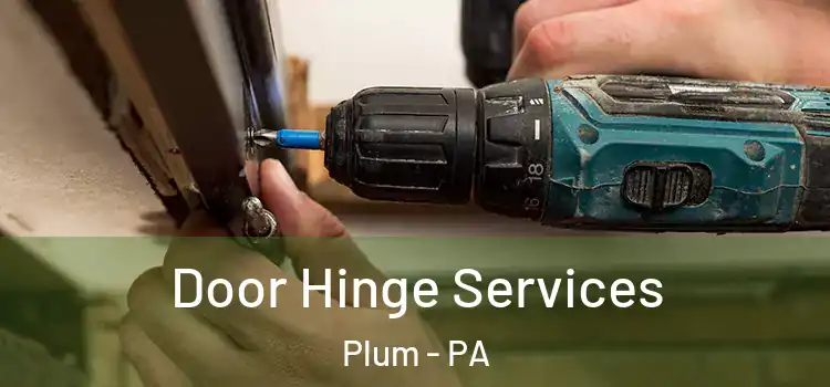  Door Hinge Services Plum - PA