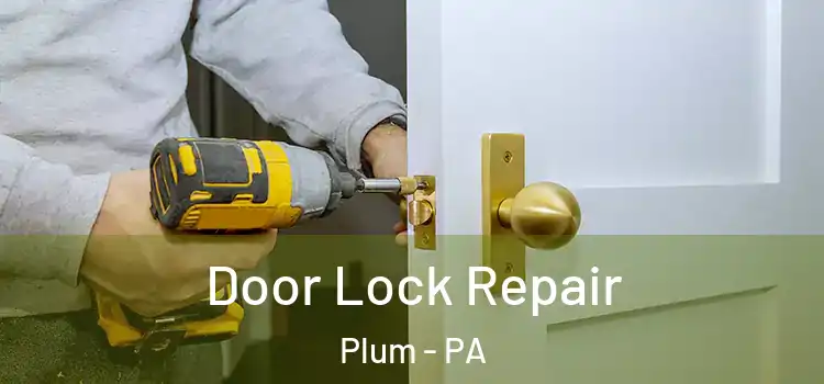 Door Lock Repair Plum - PA