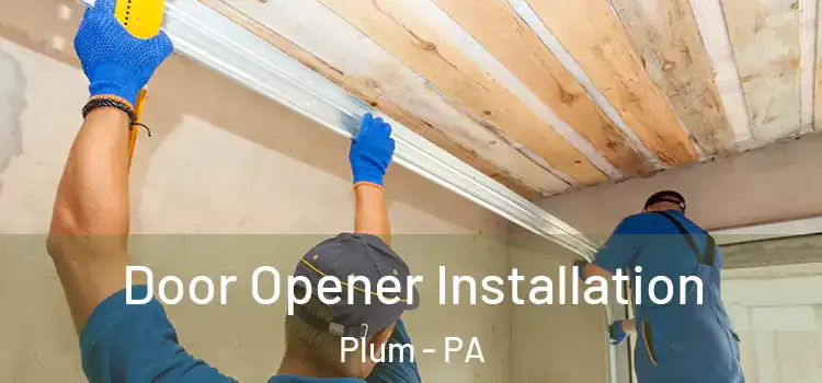  Door Opener Installation Plum - PA
