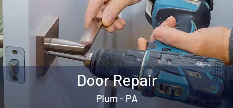  Door Repair Plum - PA