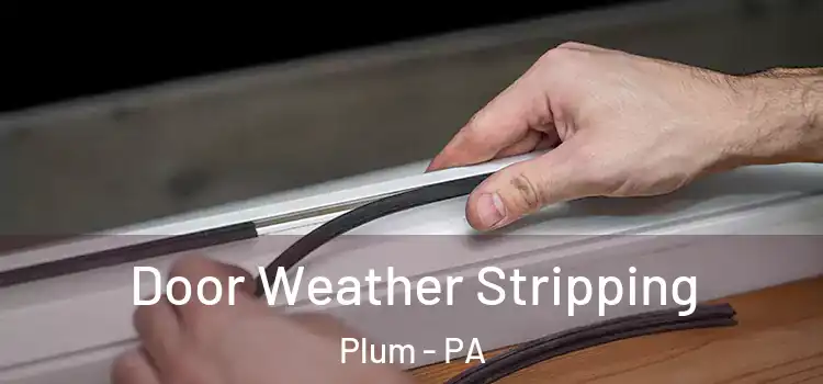 Door Weather Stripping Plum - PA