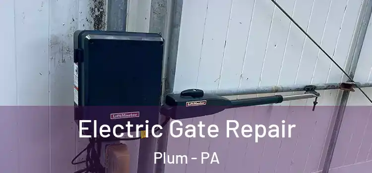  Electric Gate Repair Plum - PA