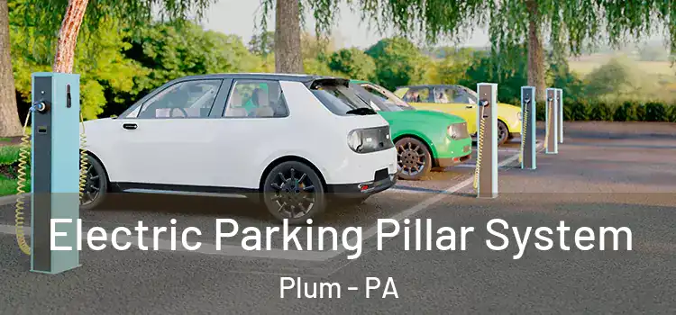  Electric Parking Pillar System Plum - PA