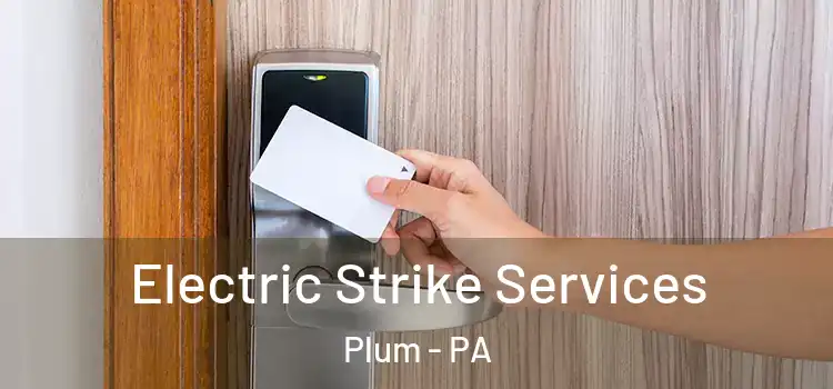  Electric Strike Services Plum - PA