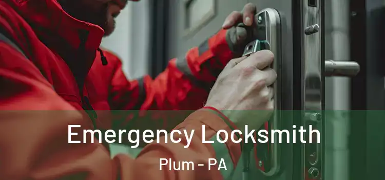  Emergency Locksmith Plum - PA