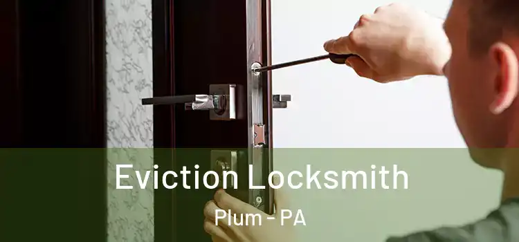  Eviction Locksmith Plum - PA