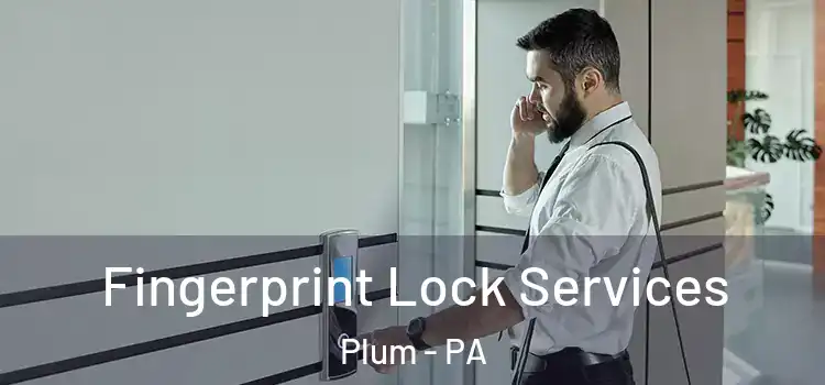  Fingerprint Lock Services Plum - PA