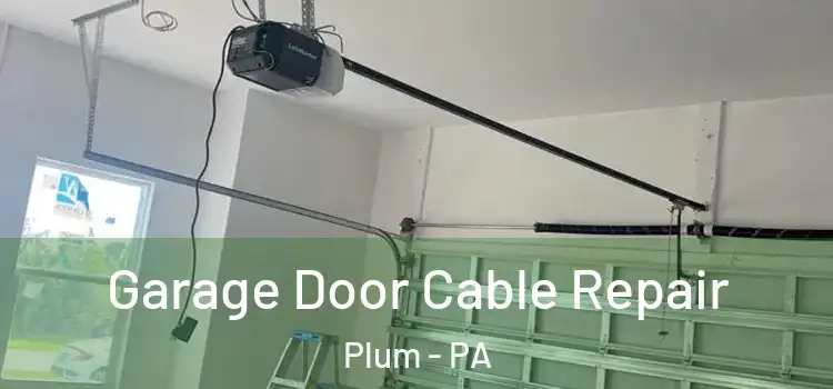  Garage Door Cable Repair Plum - PA