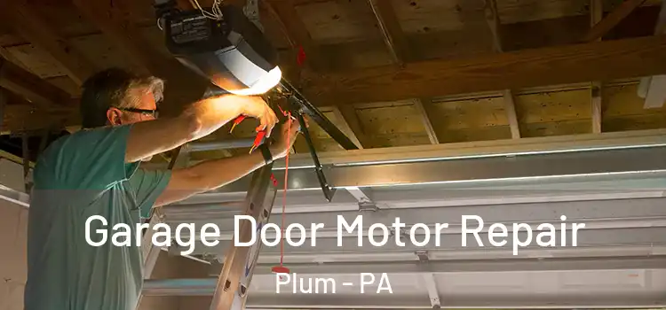 Garage Door Motor Repair Plum - PA
