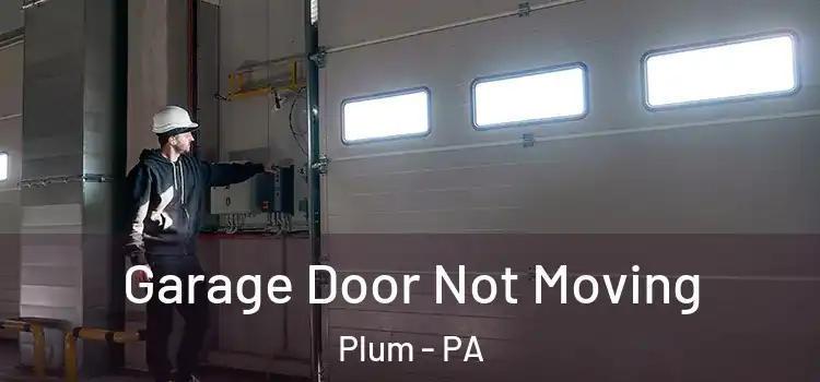  Garage Door Not Moving Plum - PA
