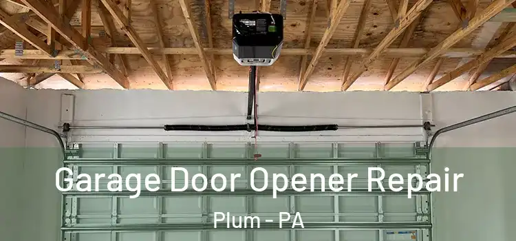 Garage Door Opener Repair Plum - PA