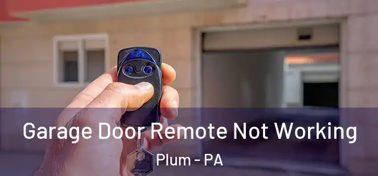  Garage Door Remote Not Working Plum - PA
