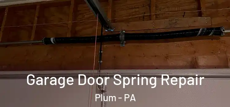  Garage Door Spring Repair Plum - PA