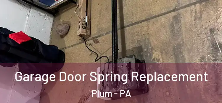  Garage Door Spring Replacement Plum - PA