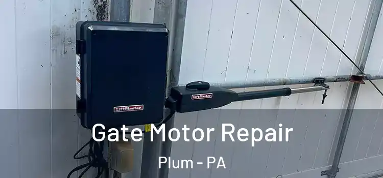  Gate Motor Repair Plum - PA