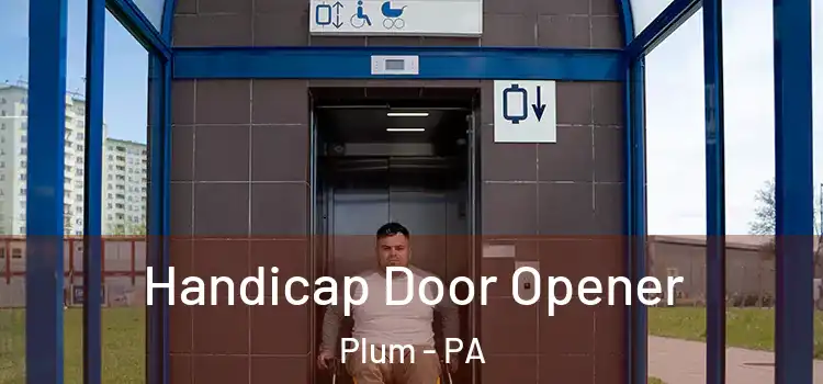 Handicap Door Opener Plum - PA