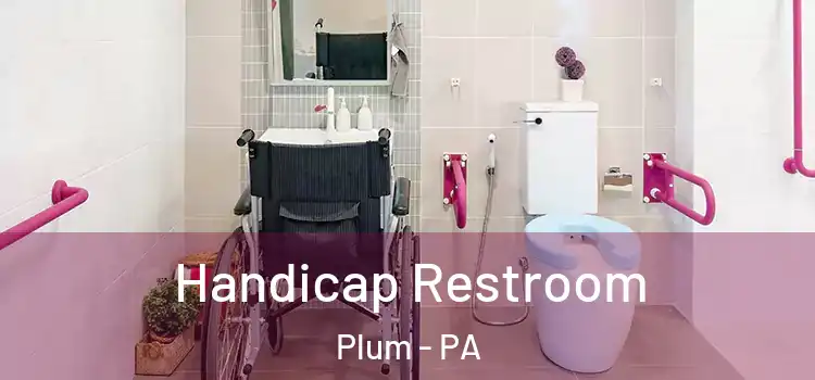  Handicap Restroom Plum - PA