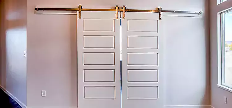 Glass Barn Door with Installation Hardware Kit Plum