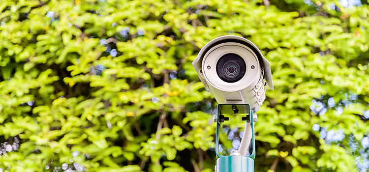 Advanced Surveillance Solutions for Every Need in Plum