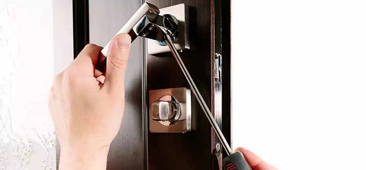 Door Lock Replacement Service Plum