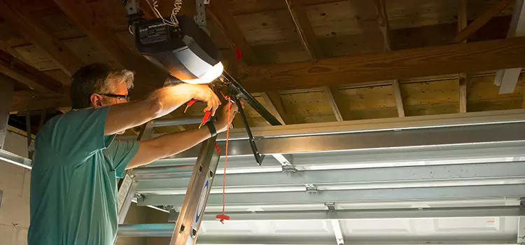 Garage Door Opener Sales and Installation Plum