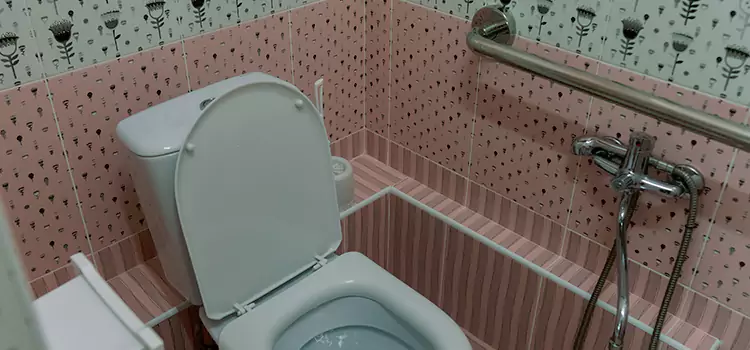 Meeting Diverse Needs With Accessible Restroom Solutions in Plum, PA