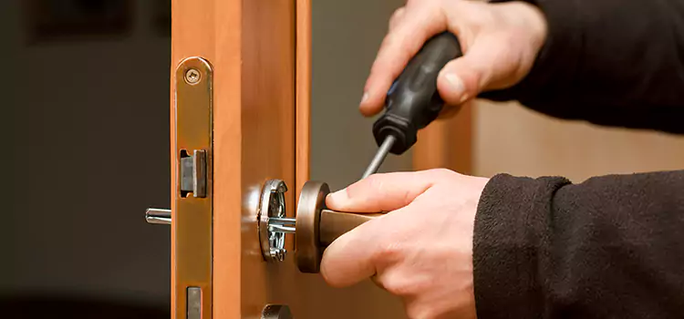 Rekey Car Locks Plum