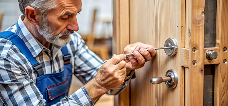 Mortise Replacement Lock Plum