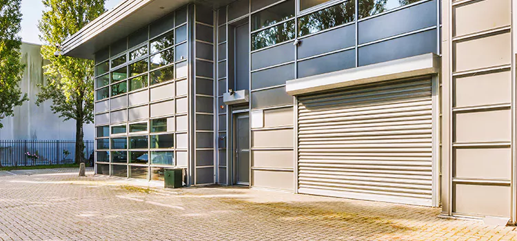 Electric Roller Garage Doors Plum
