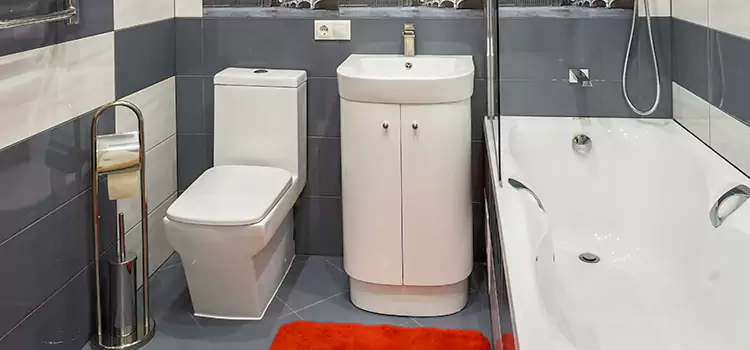 Hansgrohe Shaving Mirror Plum