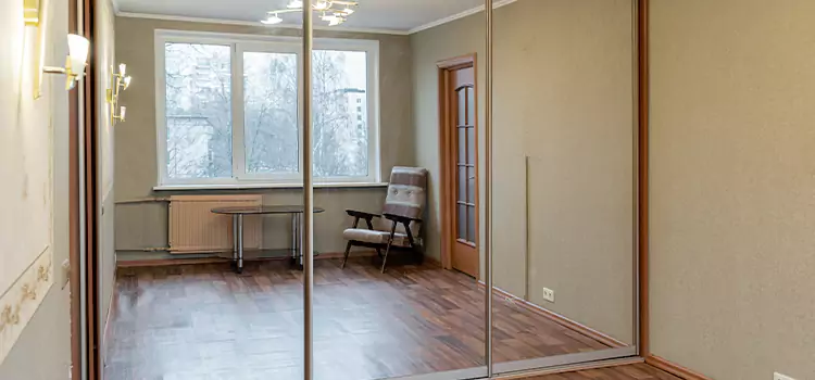 Mirror Closet Door Roller Replacement Plum