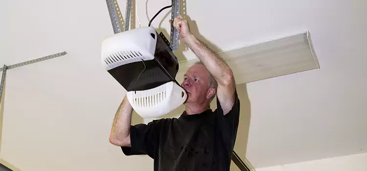 Garage Door Opener Service Plum