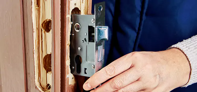 Garage Door Lock Replacement Plum