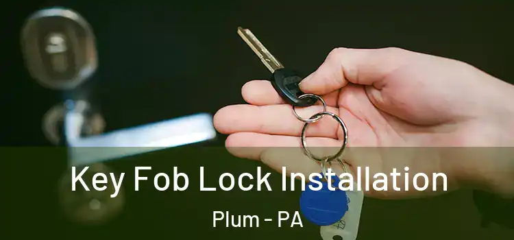  Key Fob Lock Installation Plum - PA