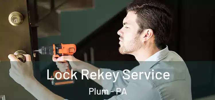  Lock Rekey Service Plum - PA