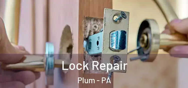  Lock Repair Plum - PA