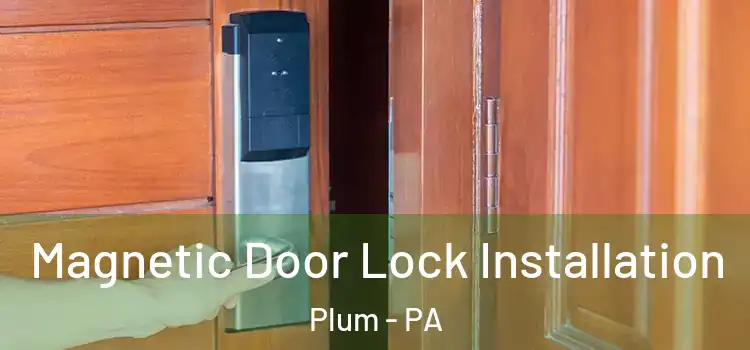  Magnetic Door Lock Installation Plum - PA