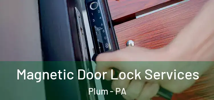  Magnetic Door Lock Services Plum - PA