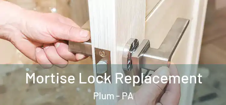  Mortise Lock Replacement Plum - PA