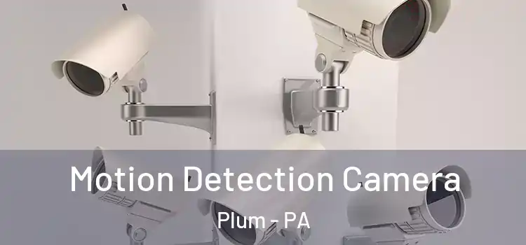  Motion Detection Camera Plum - PA
