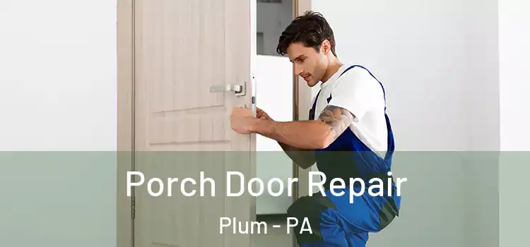  Porch Door Repair Plum - PA