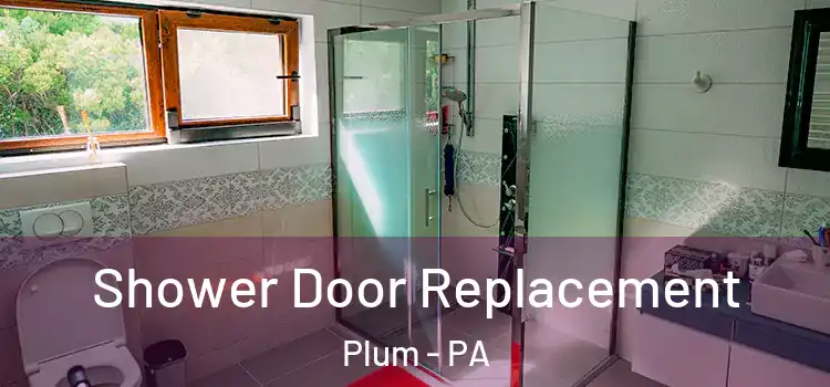  Shower Door Replacement Plum - PA