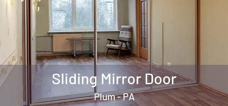 Sliding Mirror Door Plum - PA