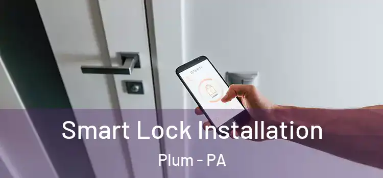  Smart Lock Installation Plum - PA